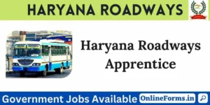 Haryana Roadways Apprentice Recruitment