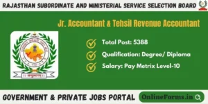 RSMSSB Junior and Tehsil Revenue Accountant Recruitment 2023