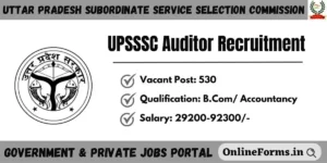 UPSSSC Auditor Recruitment 2023