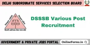 DSSSB Recruitment 3 2023